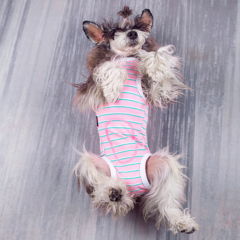 Dog Physical Pants Springsummer Thin Bellyband Vest