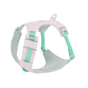 Dog Chest And Back Hand Holding Rope Walking Young Medium Large Dog