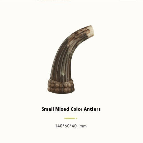 Dogs Bite And Chew On Ox Horns To Grind Their Teeth