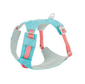 Dog Chest And Back Hand Holding Rope Walking Young Medium Large Dog