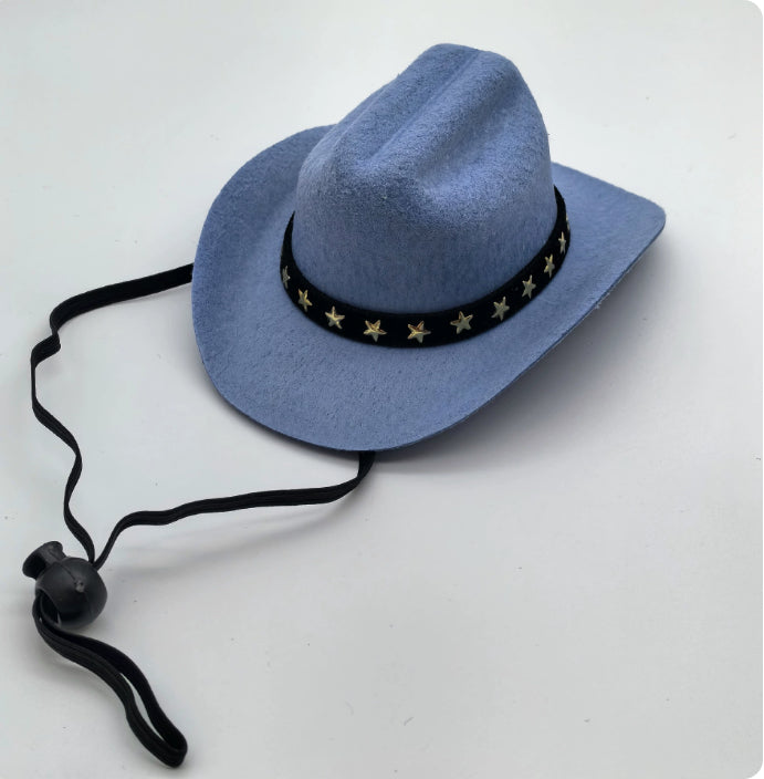 Fashion Cat Five-pointed Star Pet Cowboy Hat