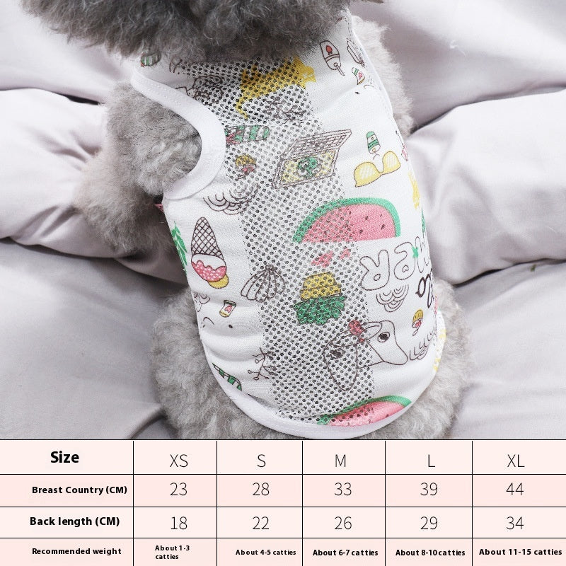 Maltese Puppy 3-month Vest