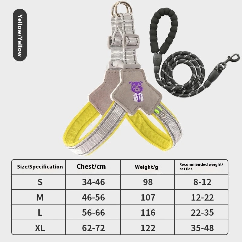 Hand Holding Rope Vest Dog Leash